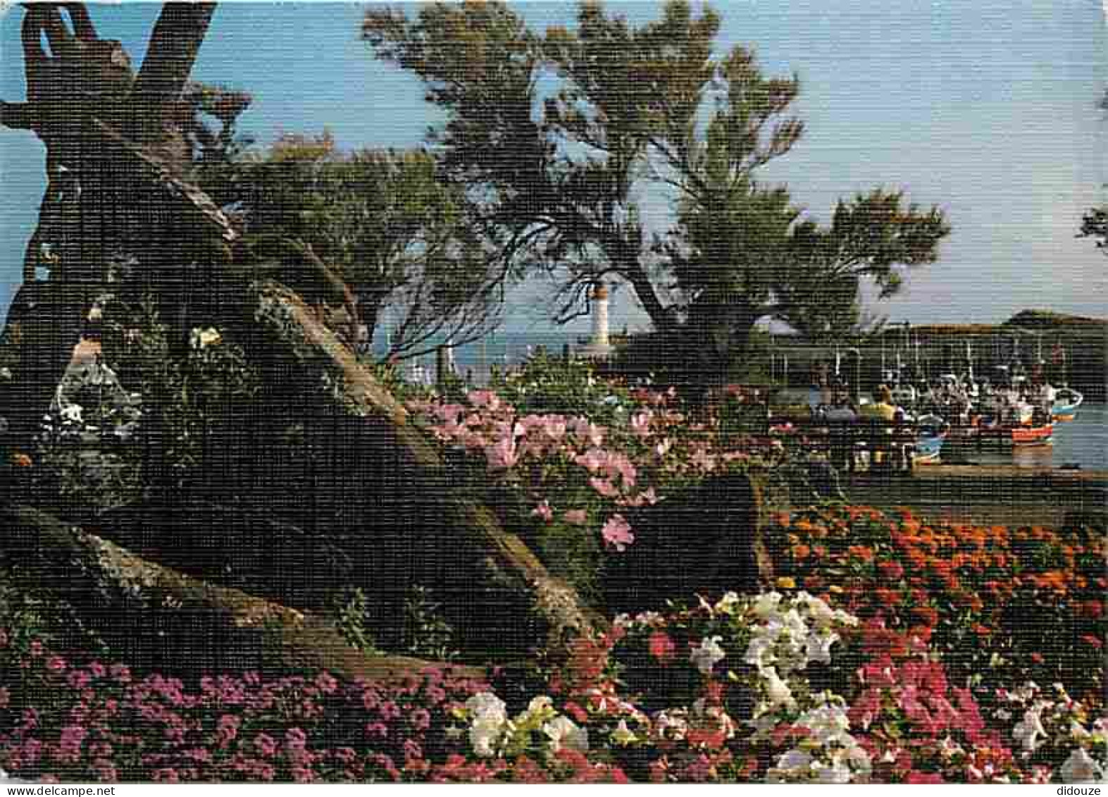 17 - Ile D'Oléron - Le Port De La Cotinière - Fleurs - Bateaux - CPM - Voir Scans Recto-Verso - Ile D'Oléron