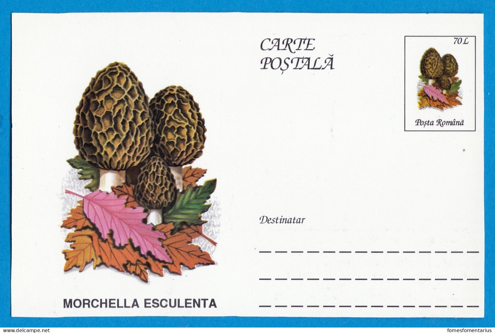 Entier Postal Neuf Roumain édition Luxe Glacé Brillant N° 093 Série 891/1000 Champignon  Mushroom Champignons Pilze - Pilze