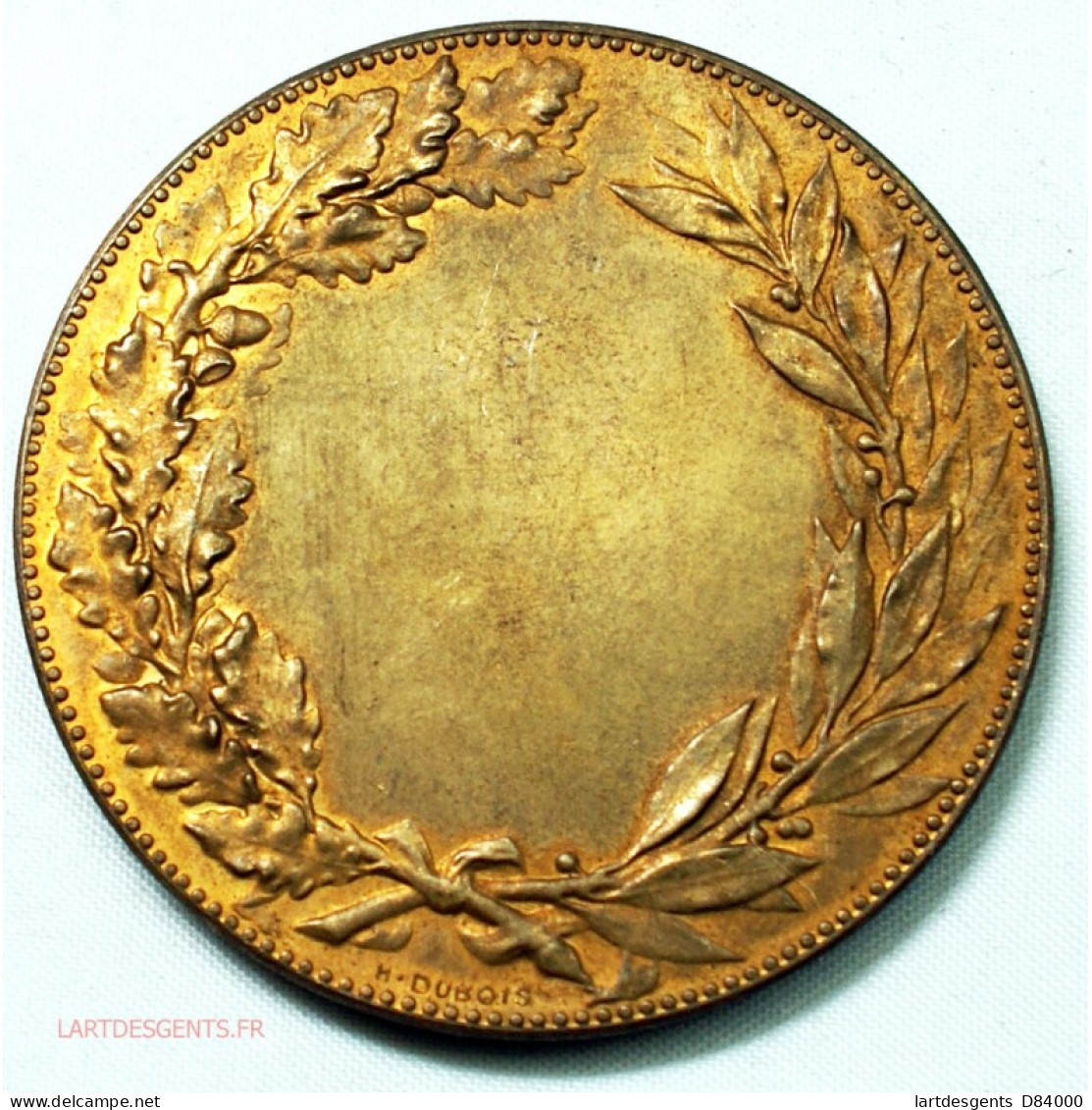 Médaille IN EO PATRIA SPES 1894 Par A. BORREL, Lartdesgents - Professionnels/De Société