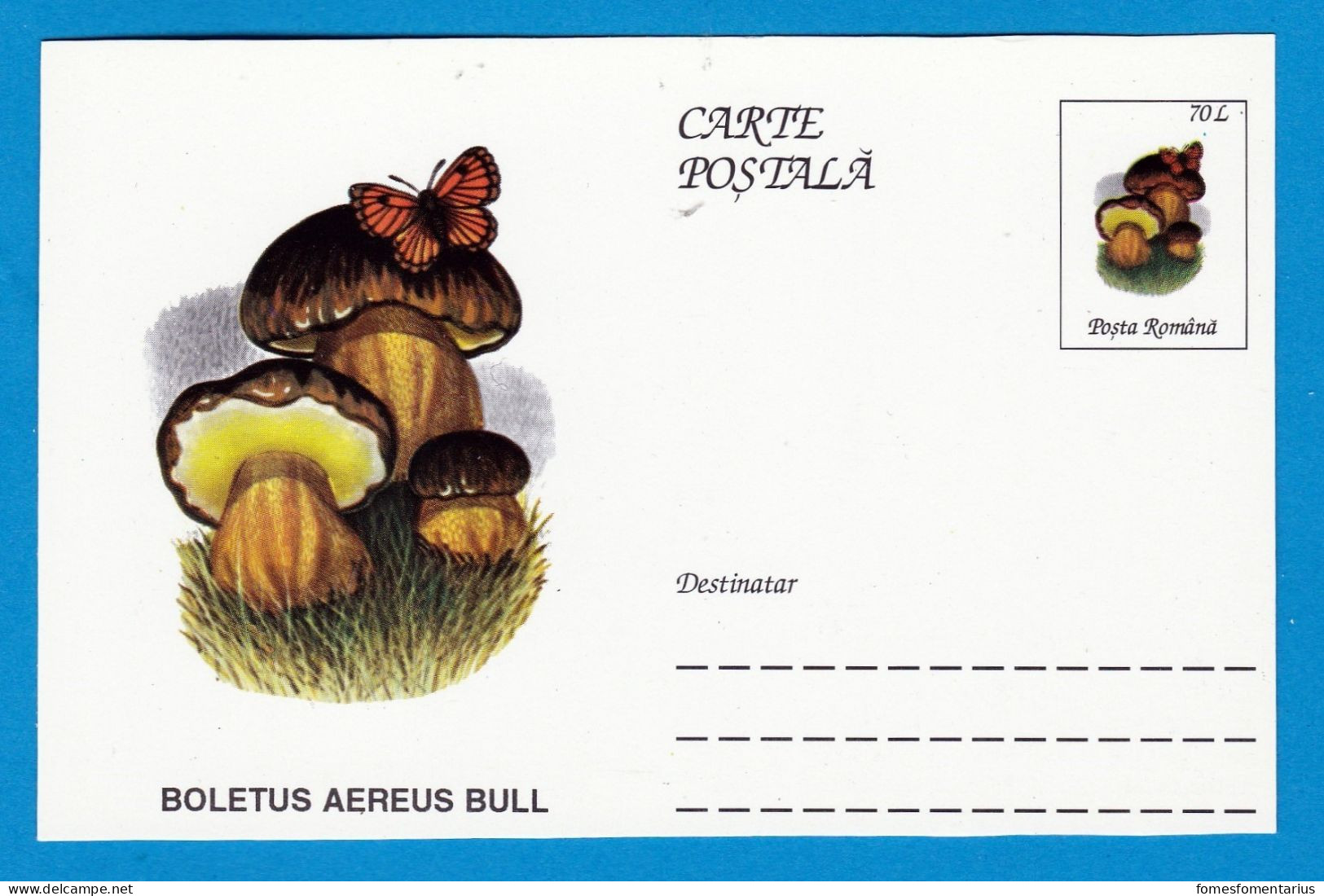 Entier Postal Neuf Roumain édition Luxe Glacé Brillant N° 084 Série 891/1000 Champignon  Mushroom Champignons Pilze - Pilze