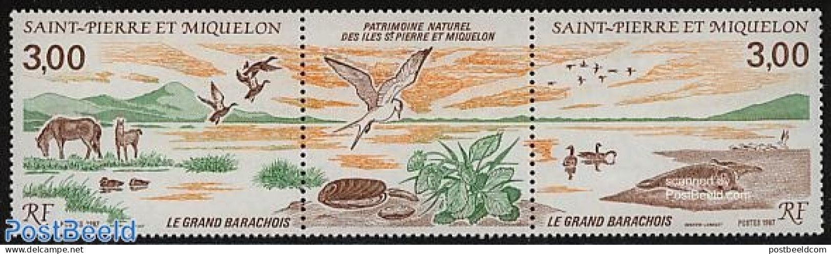 Saint Pierre And Miquelon 1987 Nature Conservation 2v+tab [:T:], Mint NH, Nature - Birds - Horses - National Parks - S.. - Nature