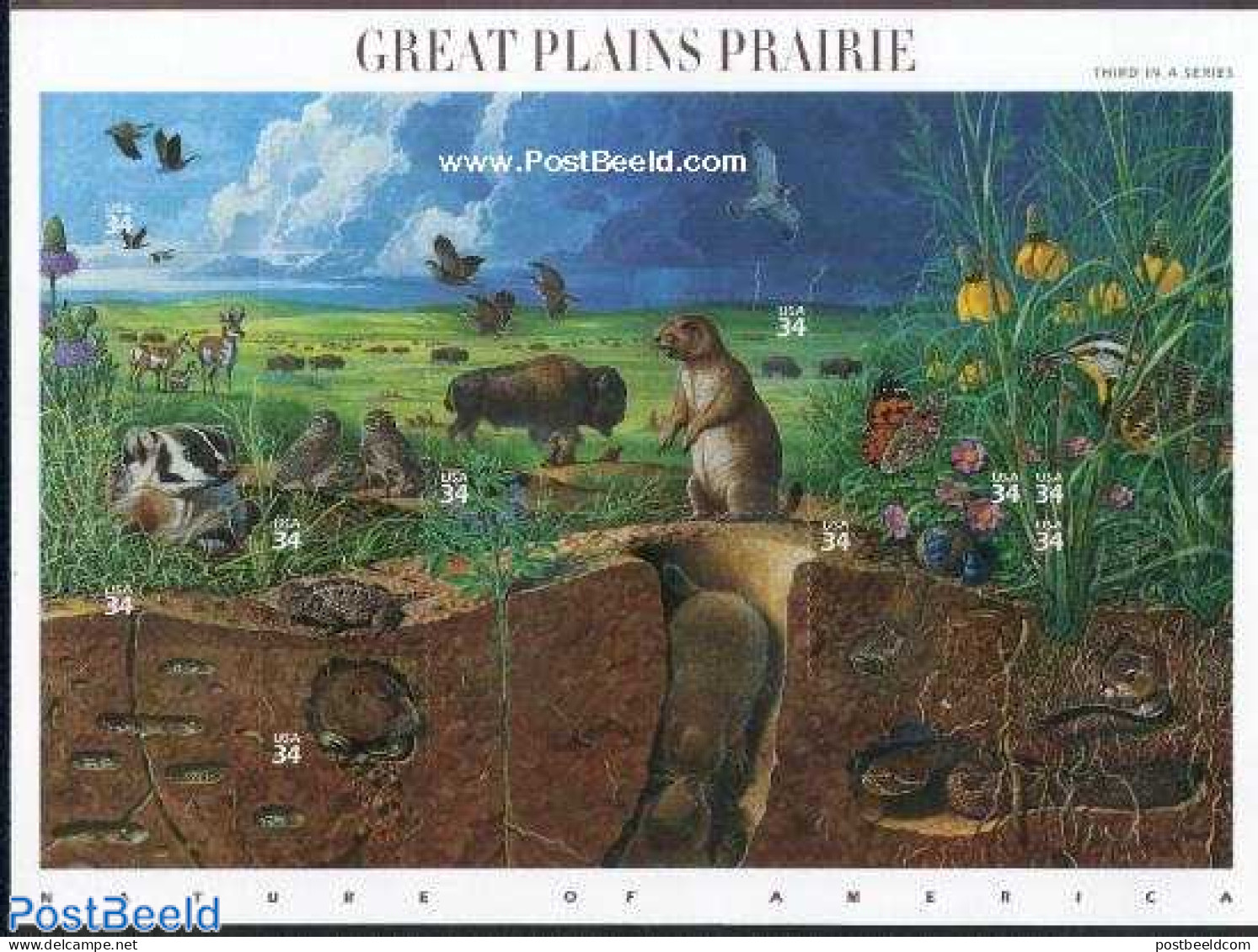 United States Of America 2001 Great Pains Prairie 10v M/s, Mint NH, Nature - Animals (others & Mixed) - Birds - Butter.. - Ongebruikt