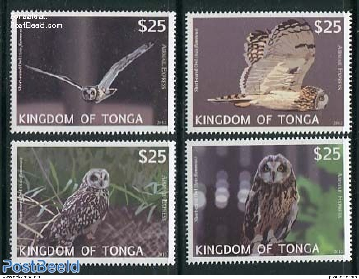 Tonga 2012 Airmail, Owls 4v, Mint NH, Nature - Birds - Birds Of Prey - Owls - Autres & Non Classés