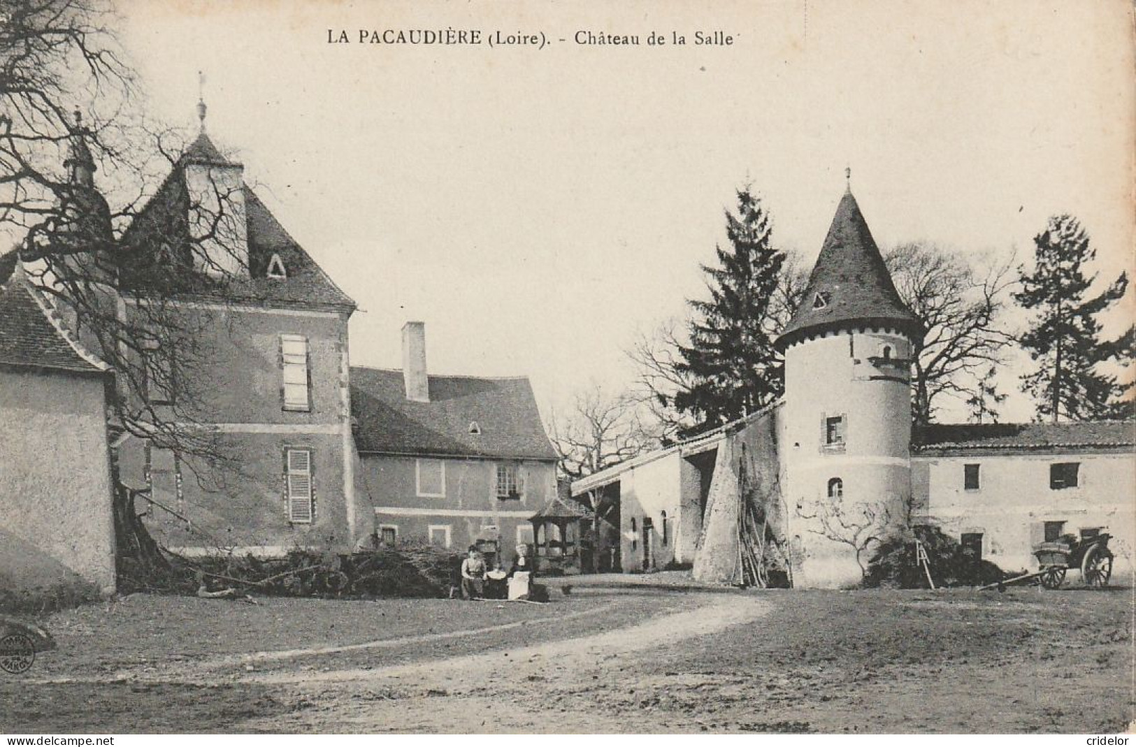 42 - LA PACAUDIERE - CHATEAU DE LA SALLE - Sonstige & Ohne Zuordnung