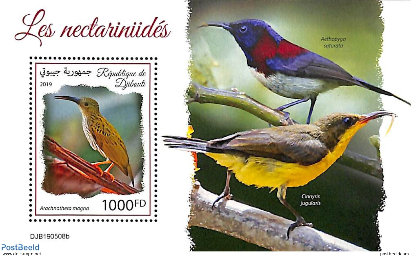 Djibouti 2019 Birds S/s, Mint NH, Nature - Birds - Dschibuti (1977-...)