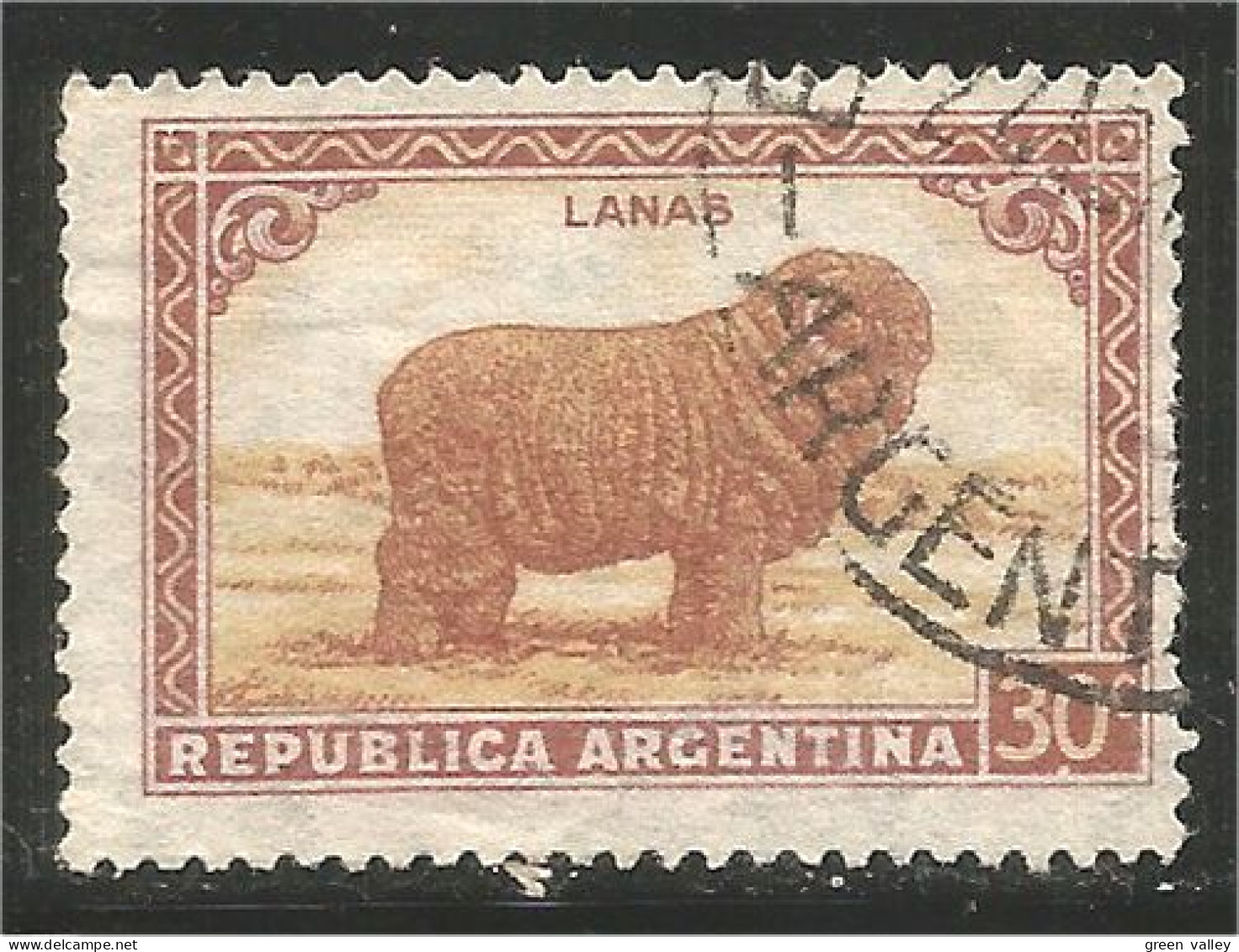 AF-74 Argentina Mouton Schapen Pecora Oveja Sheep Rammen Ariete - Agriculture