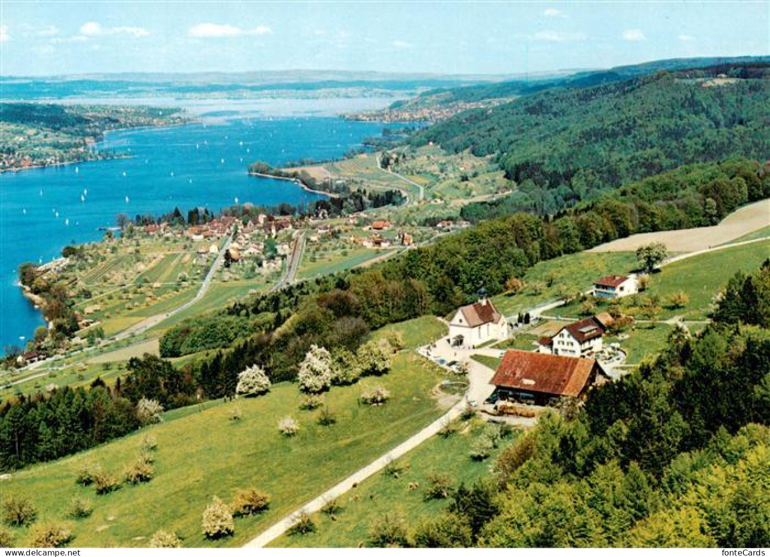 13875957 Mammern Untersee Restaurant Klingenzellerhof Panorama  - Other & Unclassified