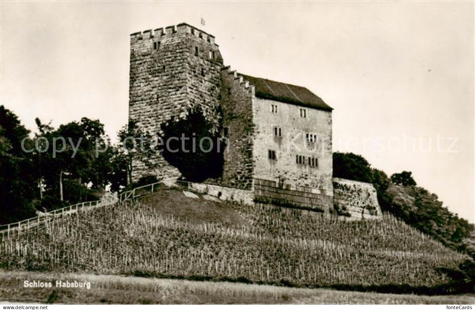 13842697 Habsburg Schloss AG Schlossruine Habsburg  - Sonstige & Ohne Zuordnung