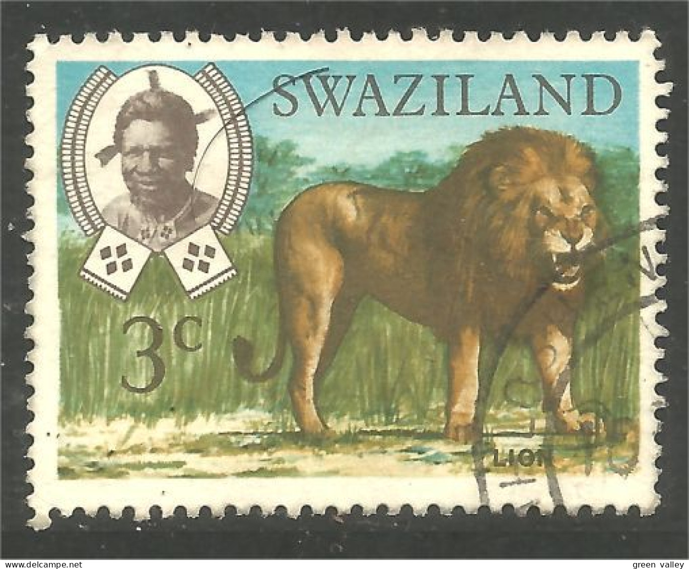 AS-144 Swaziland Lion Lowe Leeuw Leon Leone - Big Cats (cats Of Prey)