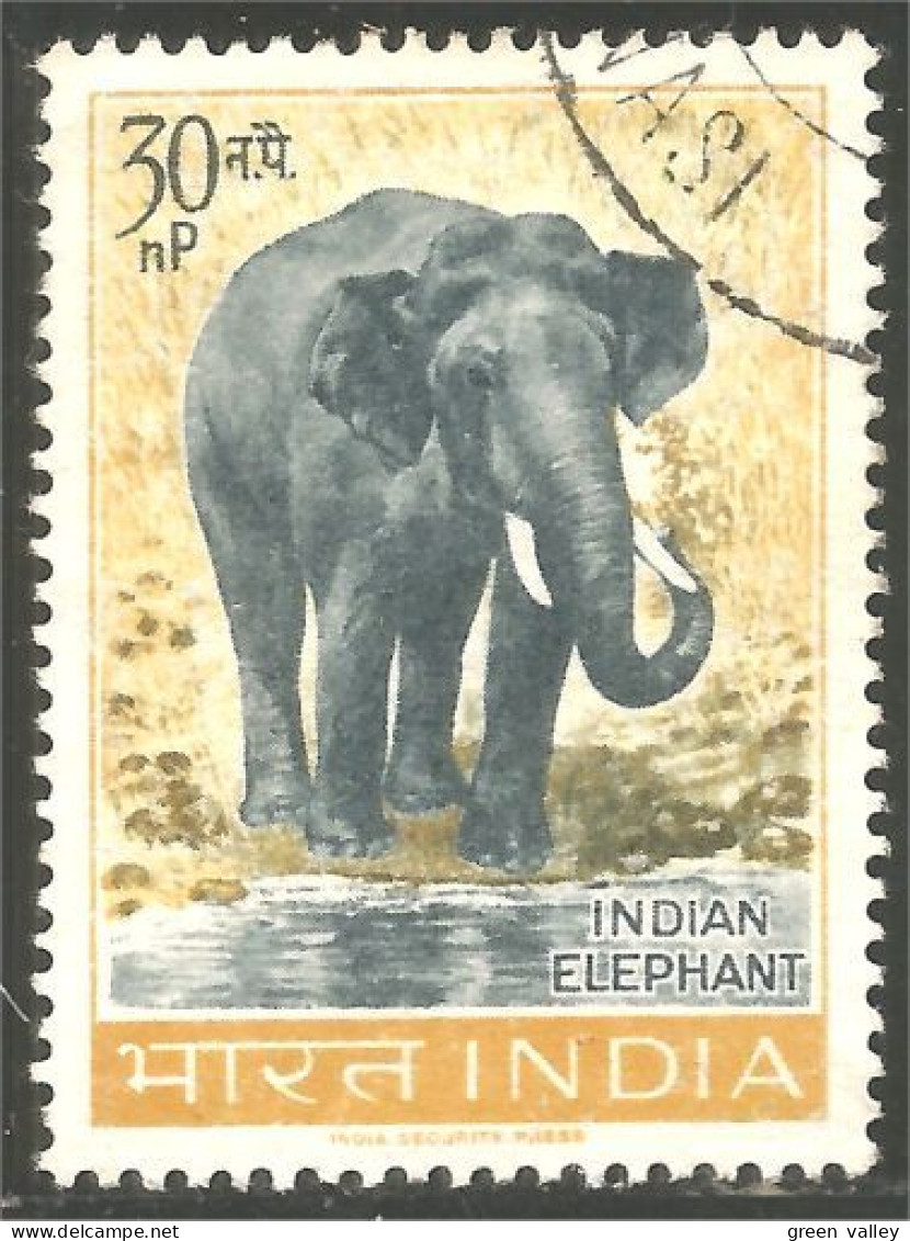 AS-71 India Elephant Elefante Norsu Elefant Olifant - Eléphants