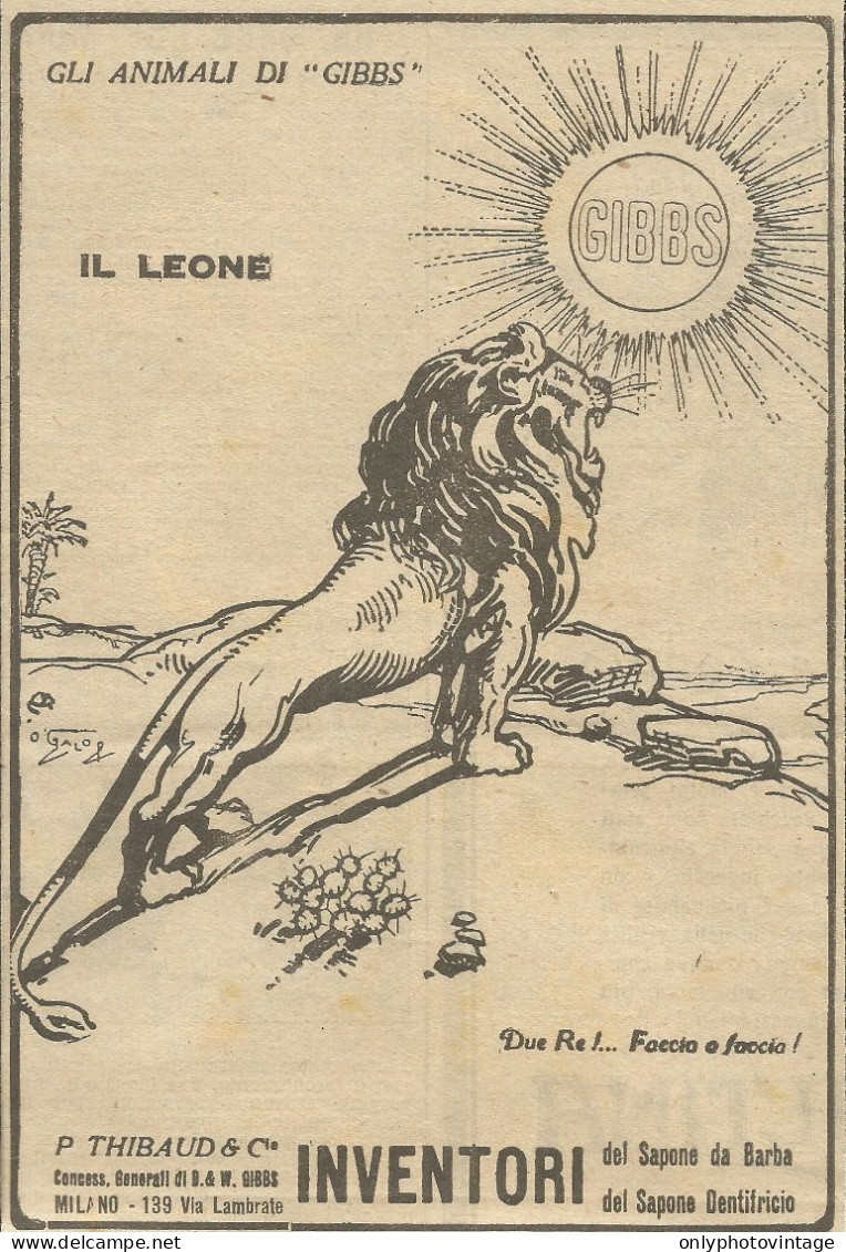 Gli Animali Di GIBBS - Il Leone - Pubblicità 1924 - Advertising - Publicidad