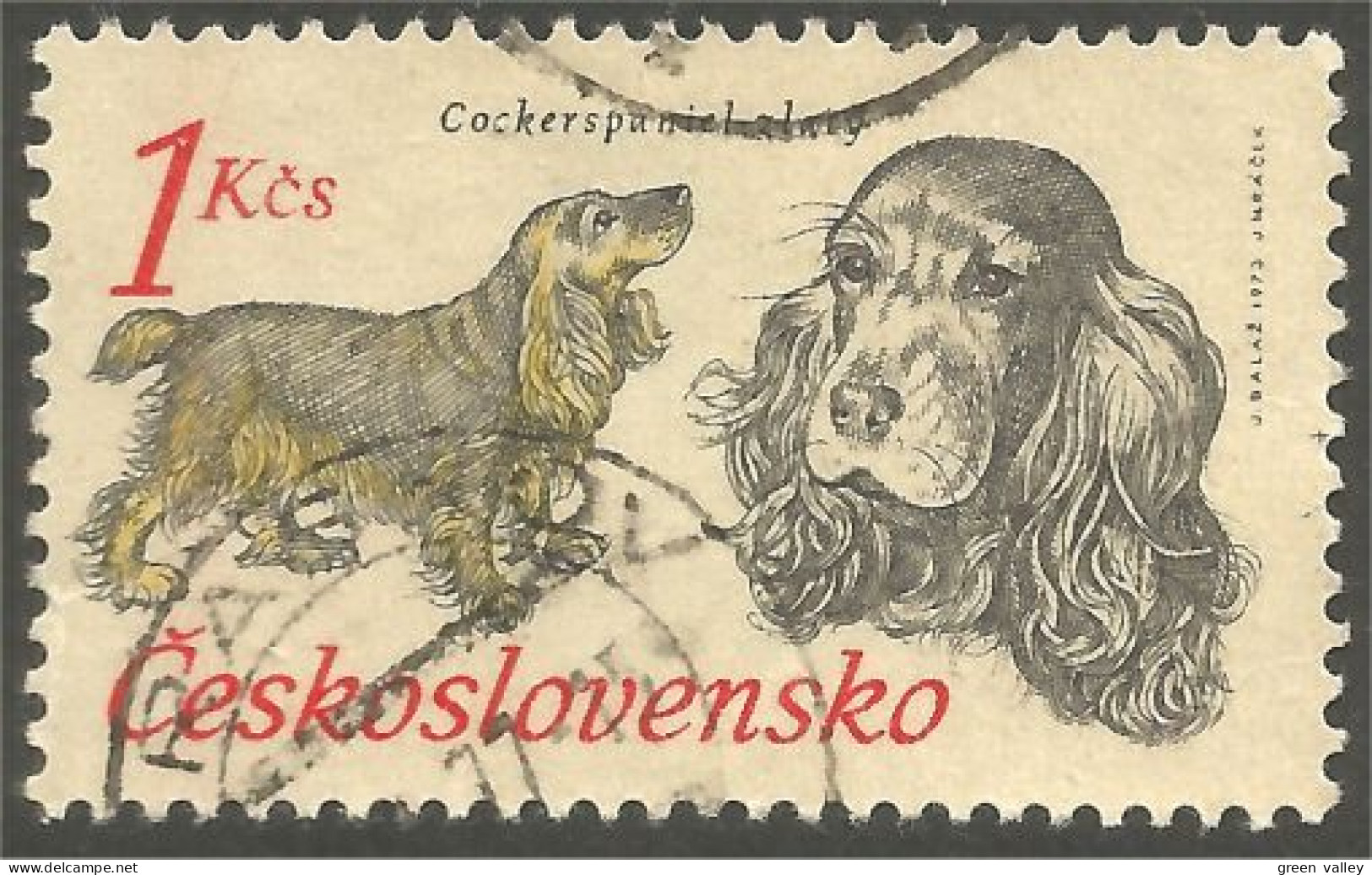 DG-9 Ceskoslovenko Cocker Spaniel Chien Dog Hund Cane Hond Perro - Chiens