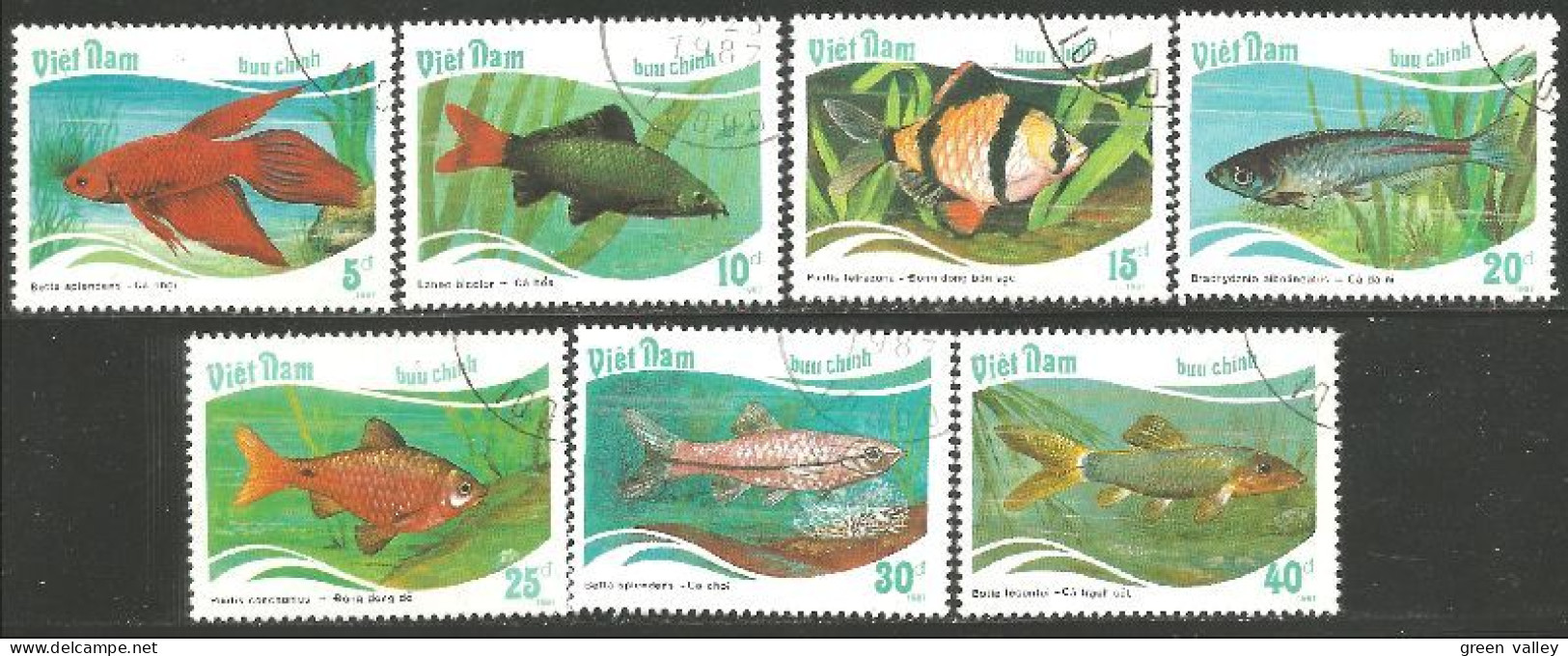 FI-73b Vietnam Aquarium Poisson Fish Fisch Pesce Pescado Peixe Vis - Vissen