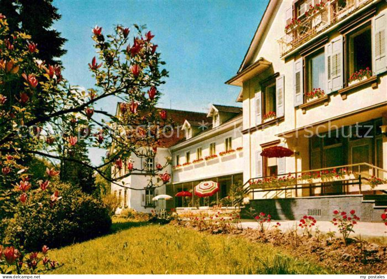 72837233 Achern Baden Kneippkurhaus Sanatorium Marienheim Erlenbad Baumbluete Ac - Achern