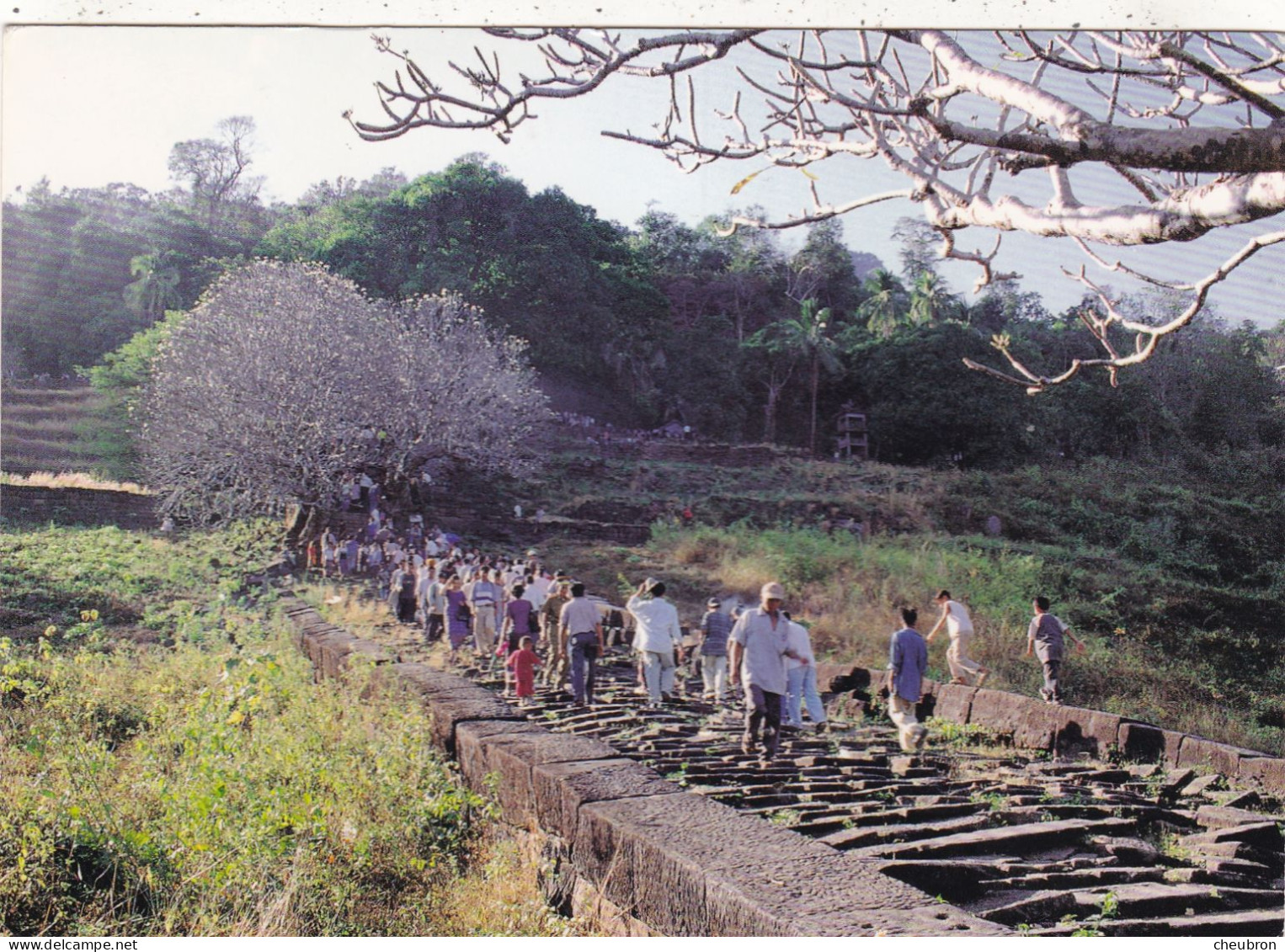 LAOS. PAKSE (ENVOYE DE). " CHAMPASAK.WAT PHOU WORLD HERITAGE ". ANNEE 2004 + TEXTE + TIMBRES.. FORMAT 17 X 12 Cm - Laos