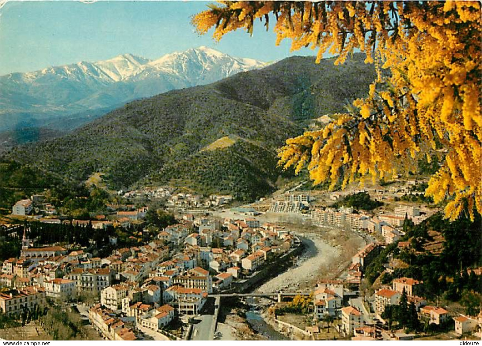 66 - Amélie Les Bains - Vue Générale - Au Fond Le Canigou - CPM - Voir Scans Recto-Verso - Autres & Non Classés