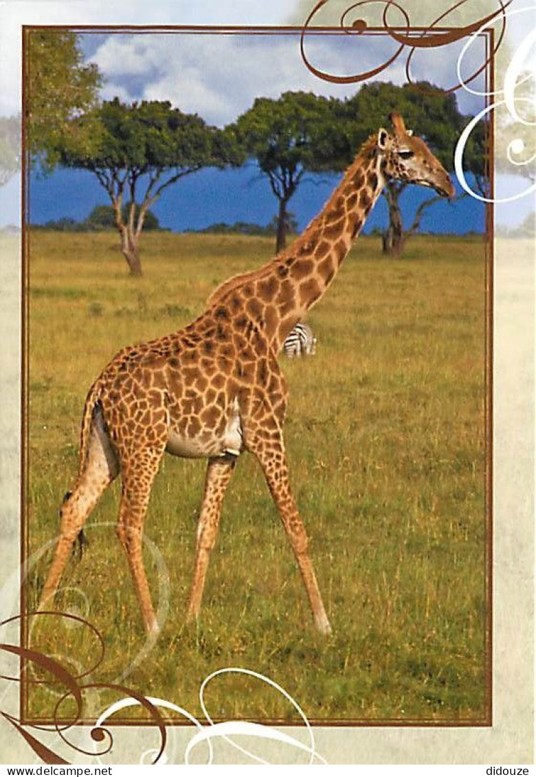 Animaux - Girafes - Carte Qui Se Déplie - Carte Neuve - CPM - Voir Scans Recto-Verso - Jirafas