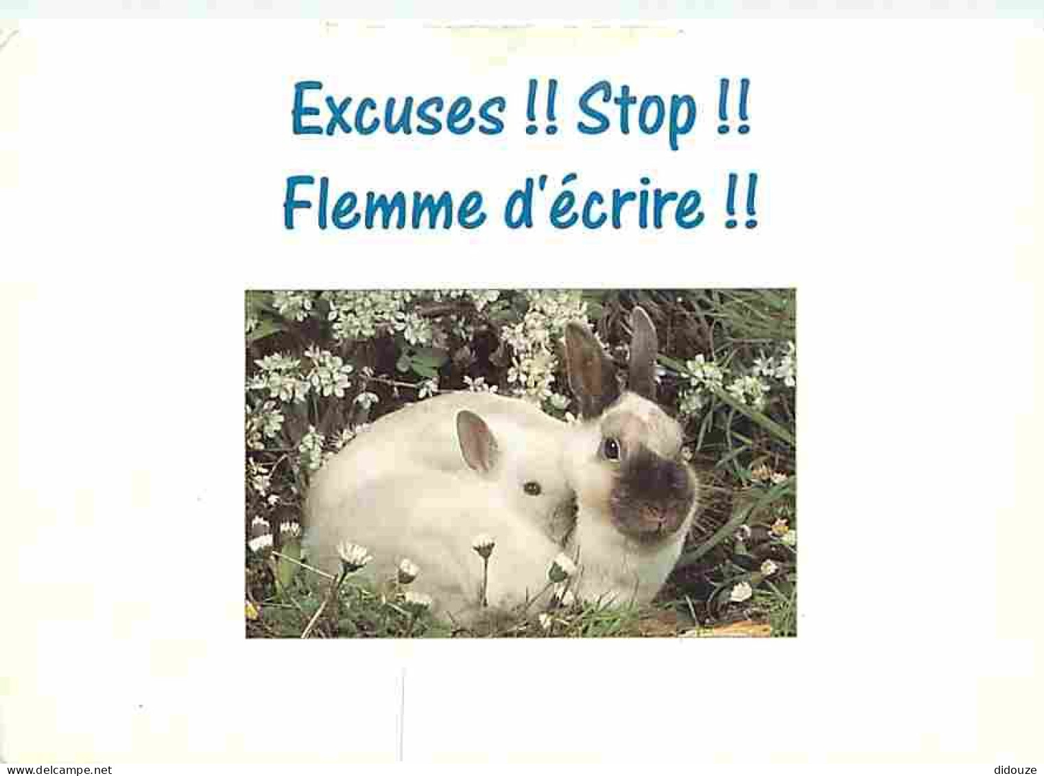 Animaux - Lapins - CPM - Voir Scans Recto-Verso - Other & Unclassified