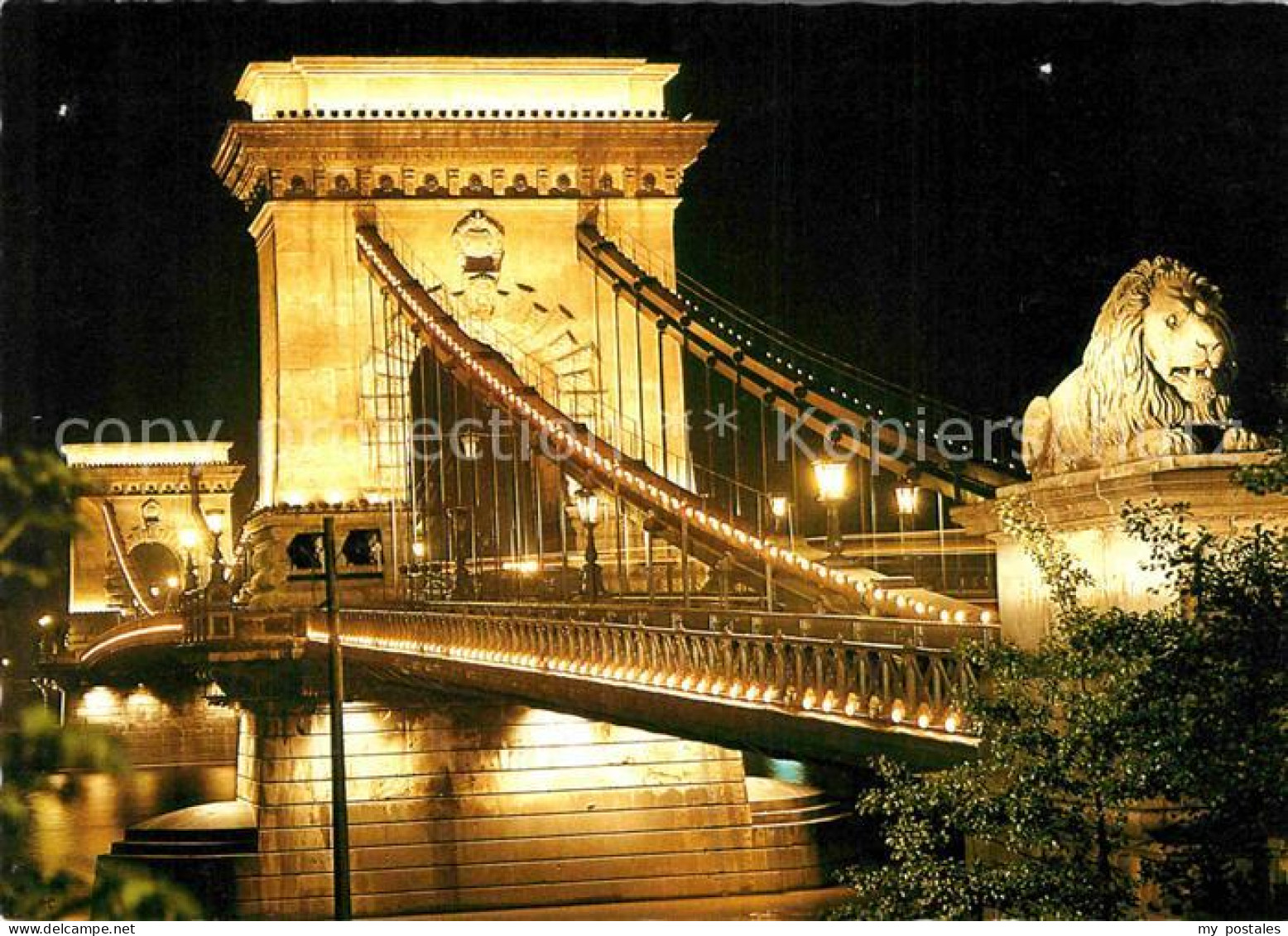 72825022 Budapest Kettenbruecke Bei Nacht Budapest - Hongrie