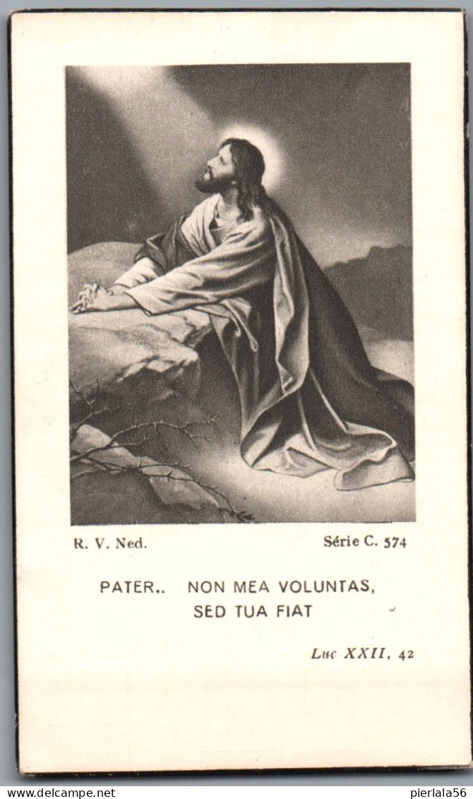 Bidprentje Aalbeke - Pauwels René (1904-1950) - Devotion Images