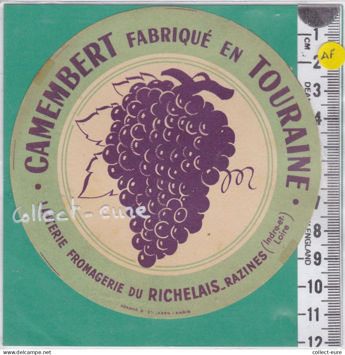 C1315  FROMAGE CAMEMBERT RICHELAIS RAZINES INDRE ET LOIRE GRAPPE DE RAISINS - Cheese