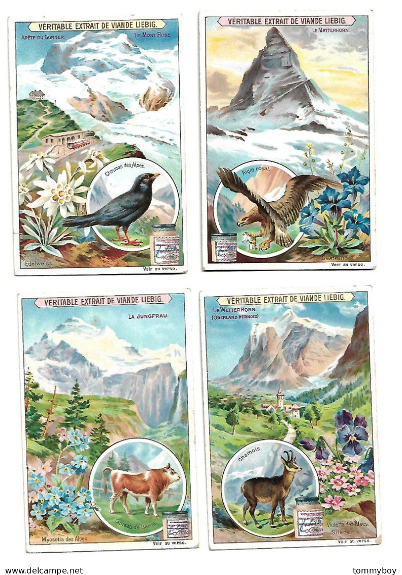 S 740 , Liebig 6 Cards, Alpes Suisse (stickers On The Backsides) (ref B18) - Liebig