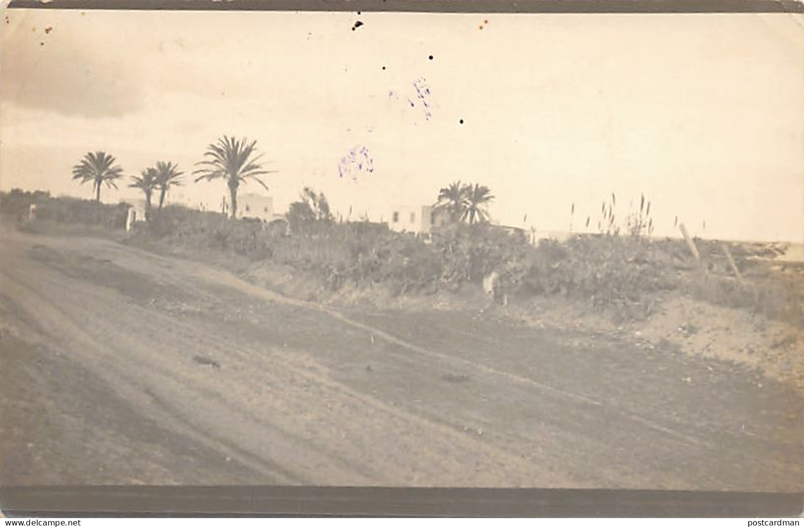 Tunisie - SOUSSE - Carte Photo Année 1918 (environs De L'Hôpital Militaire) - Ed. Inconnu  - Tunisia