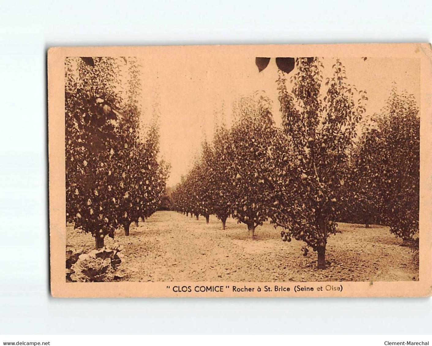 Rocher à SAINT BRICE : "Clos Comice" - état - Saint-Brice-sous-Forêt