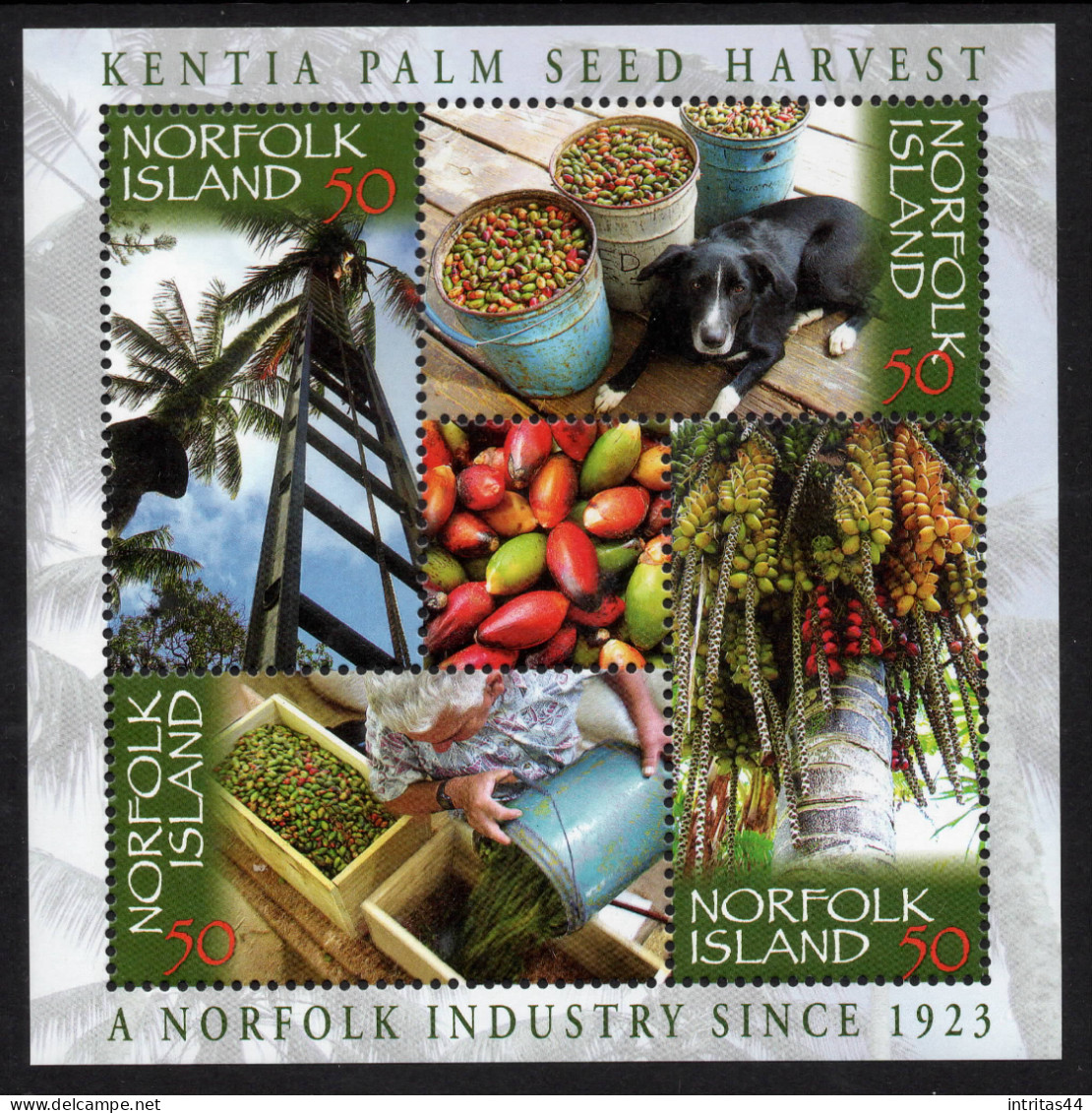 NORFOLK ISLAND 2007 " KENTIA PALM SEED HARVEST SHEET   MNH - Ile Norfolk