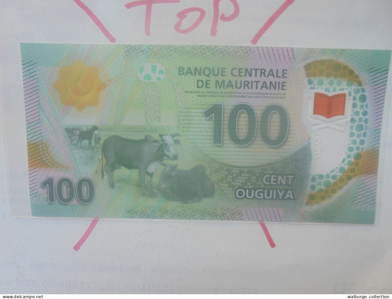 MAURITANIE 100 OUGUIYA 2017 Neuf (B.33) - Mauritania