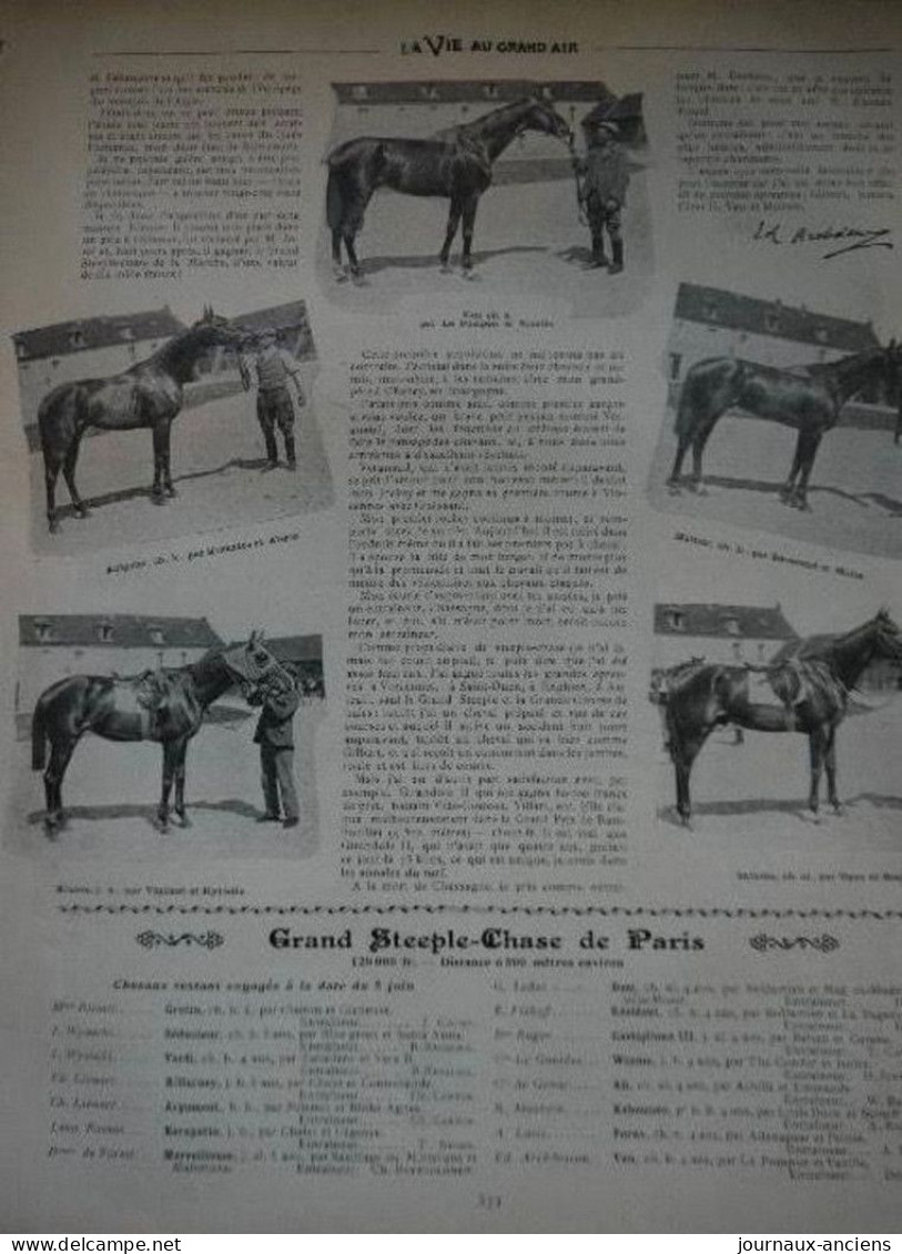 1902 DESSIN SEM - LE GRAND PRIX ET LE STEEPLE - LA SOCIETE - LES GAGNANTS - LES ENGAGES - LA VIE AU GRAND AIR