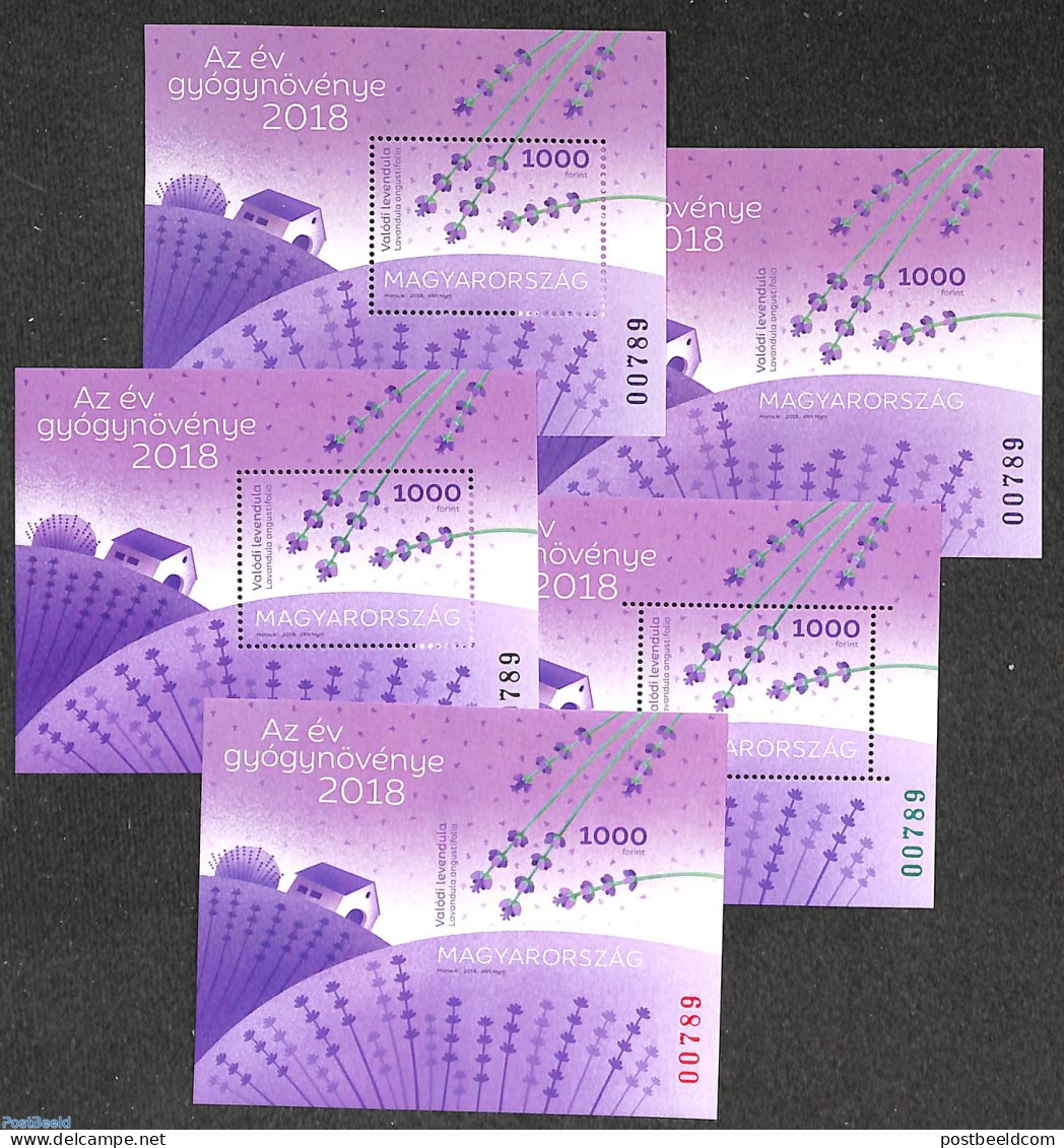 Hungary 2018 Lavender, 5 Diff. Sheets In Folder, Mint NH, Nature - Flowers & Plants - Nuovi