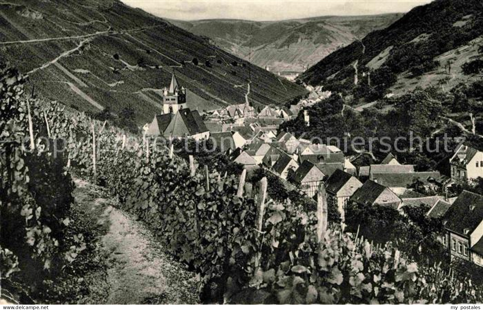 72795066 Steeg Bacharach Panorama  Steeg Bacharach - Bacharach