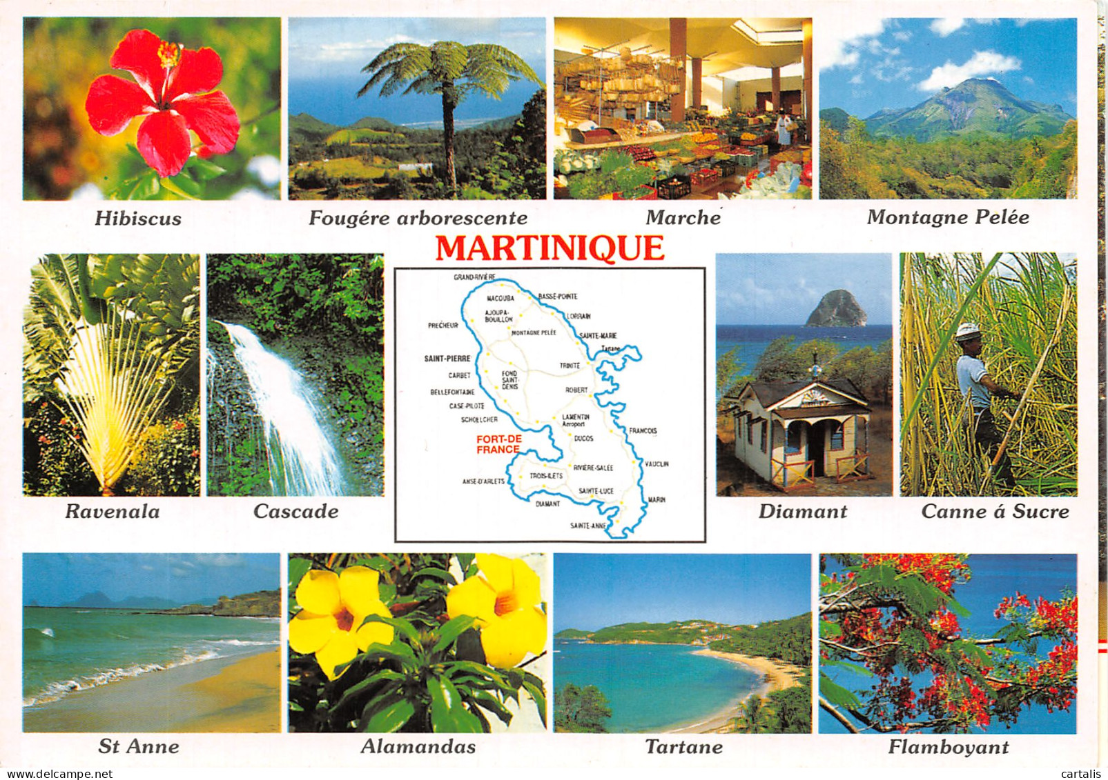 972-MARTINIQUE-N°4186-A/0095 - Autres & Non Classés