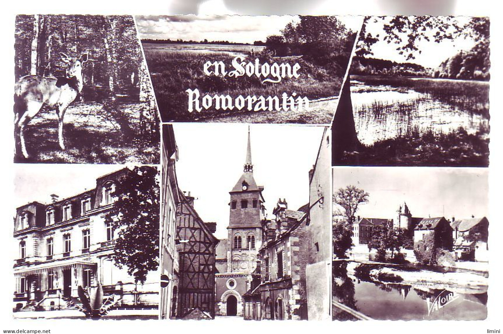 41 - ROMORANTIN - MULTIVUES De La SOLOGNE - - Romorantin