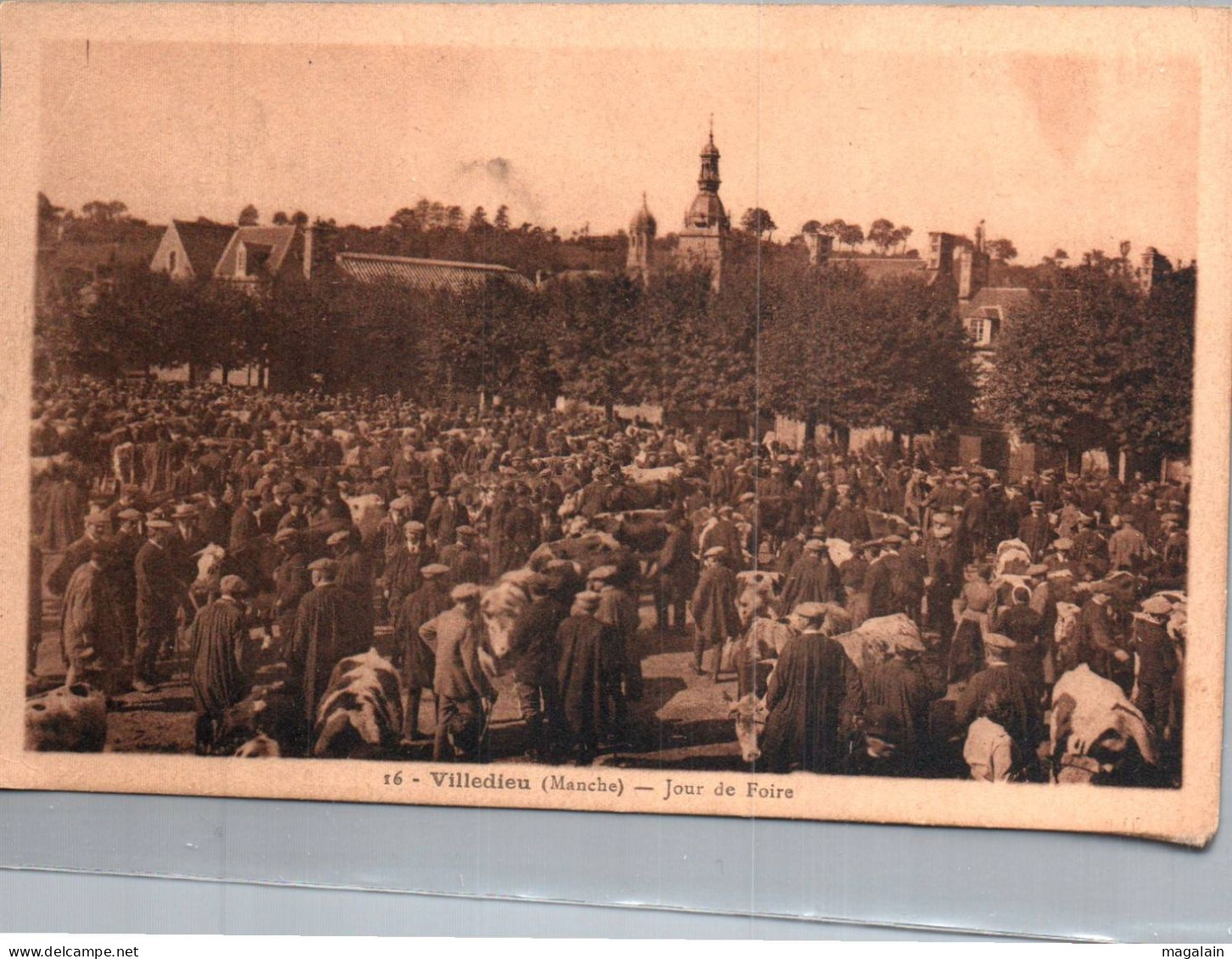 Villedieu : Jour De Foire - Villedieu