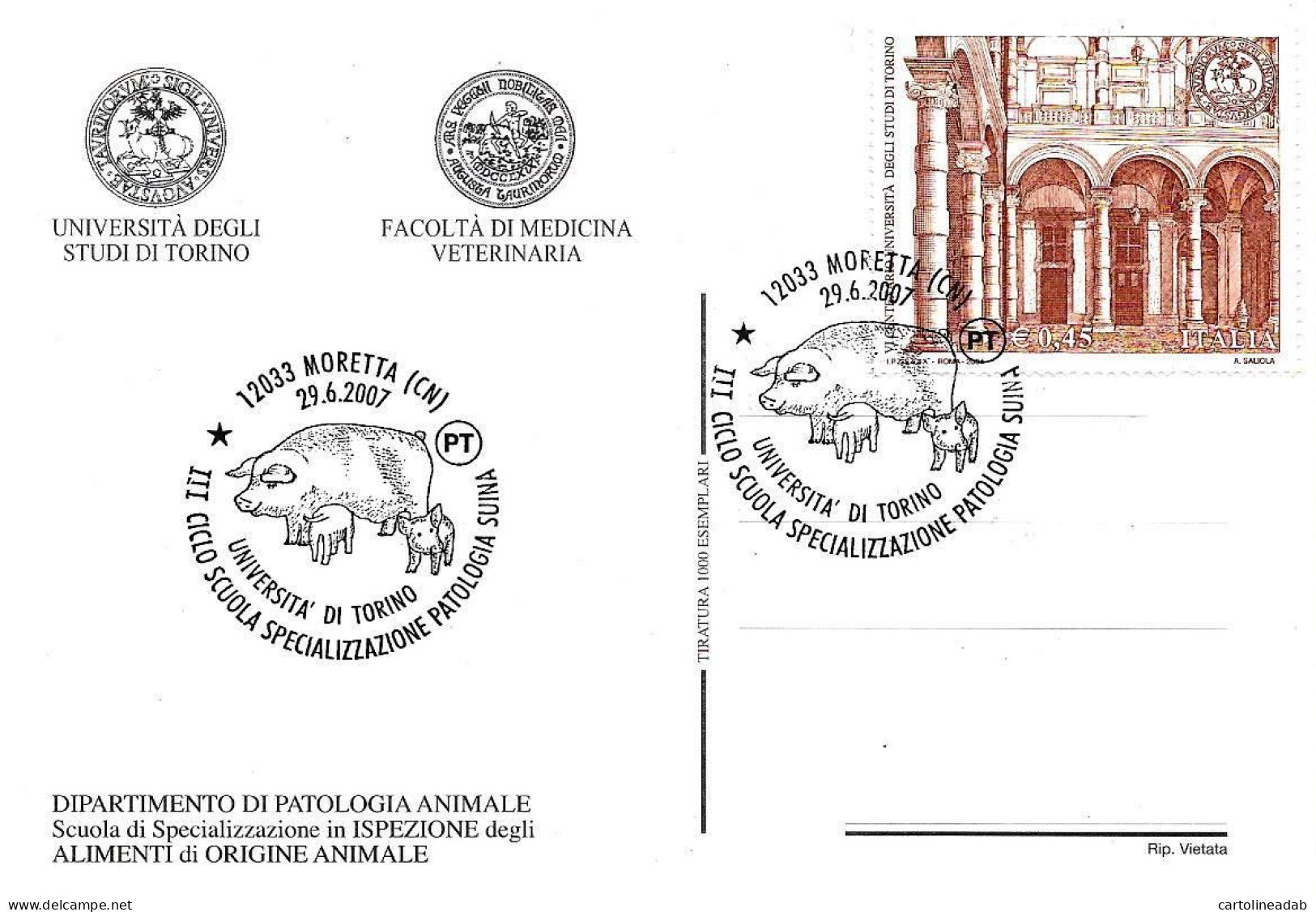 [MD9741] CPM - UNIVERSITA' DI TORINO DIPARTIMENTO DI PATOLOGIA ANIMALE - CON ANNULLO 2007 - PERFETTA - NV - Enseignement, Écoles Et Universités