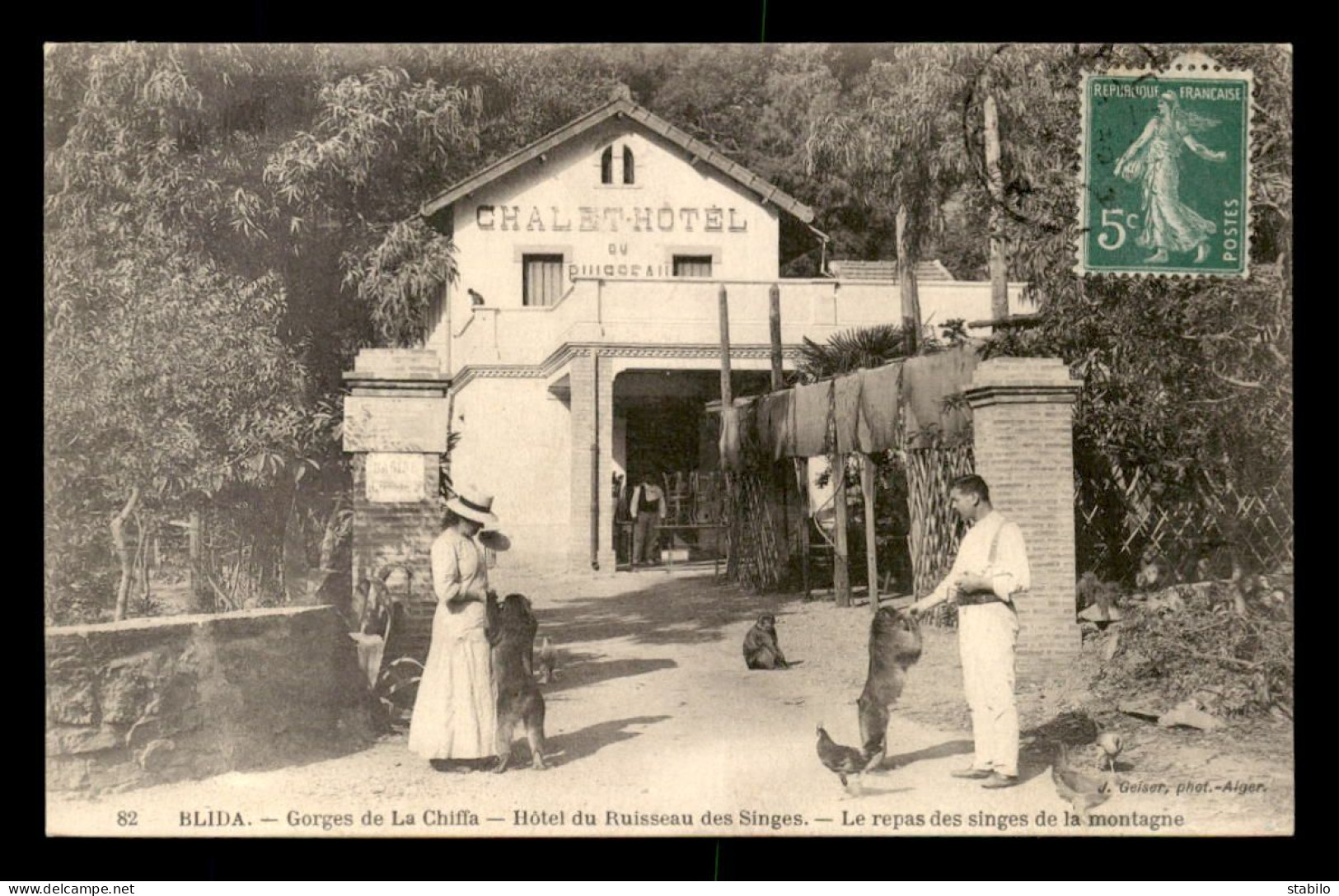 ALGERIE - BLIDA - LES GORGES DE LA CHIFFA - HOTEL DU RUISSEAU DES SINGES - LE REPAS DES SINGES - EDITEUR GEISER - Blida