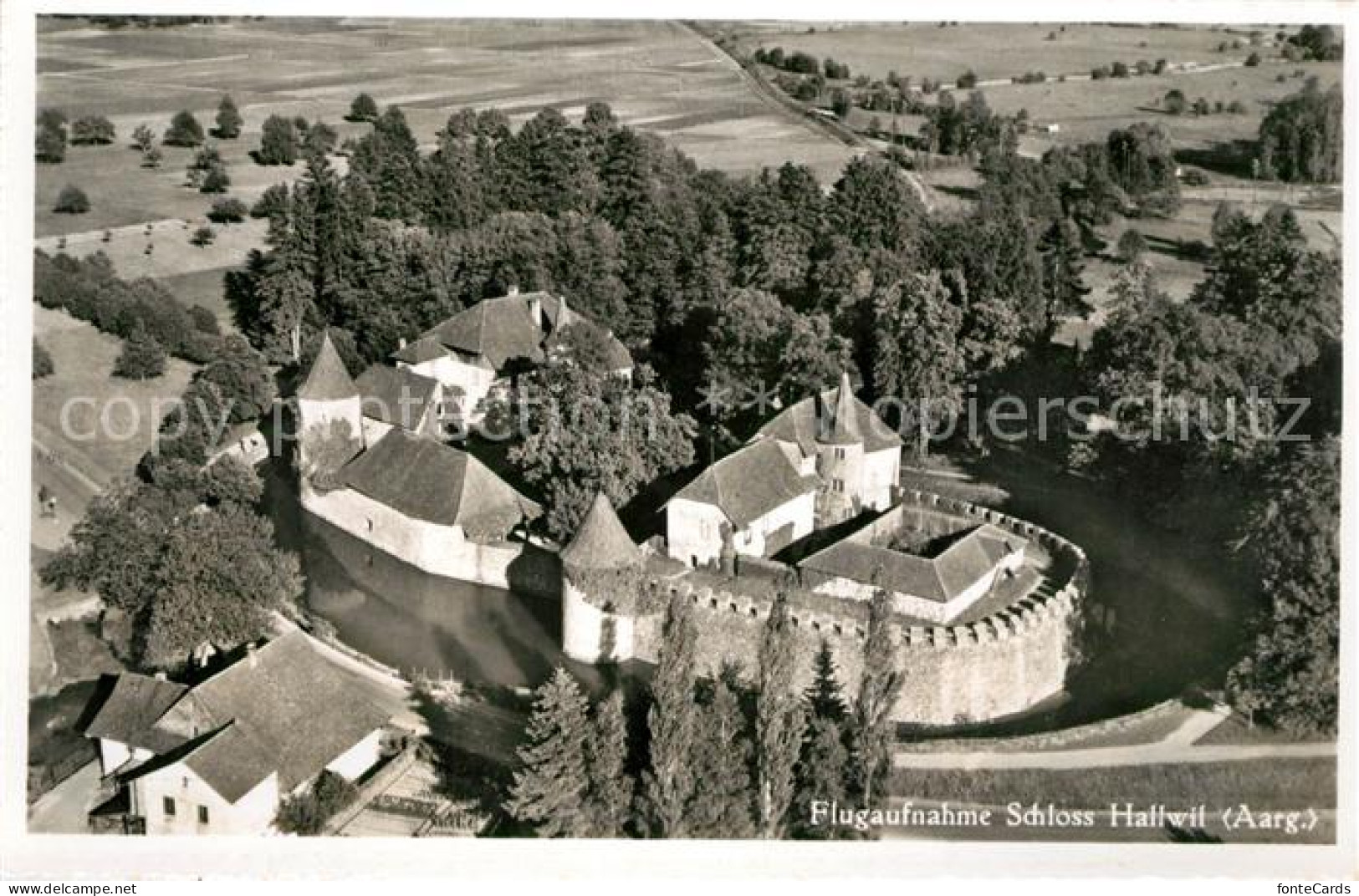 13203169 Hallwil Fliegeraufnahme Schloss  Hallwil - Autres & Non Classés