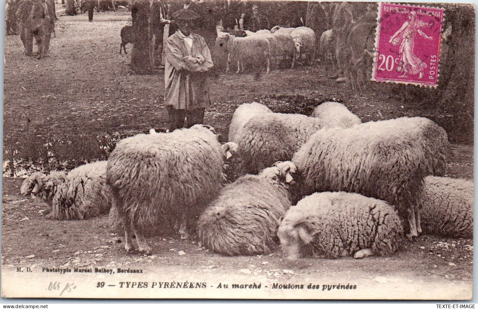 64 - Types Pyrenees - Au Marche - Moutons Des Pyrenees  - Autres & Non Classés