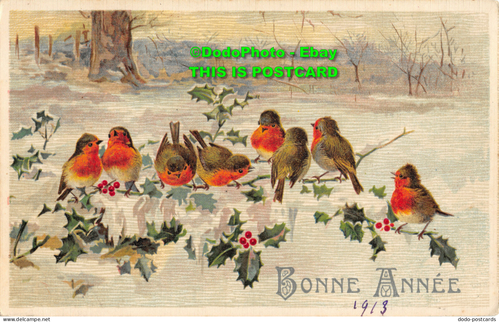 R355934 Bonne Annee. Birds. G. O. M. Postcard. 1913 - World