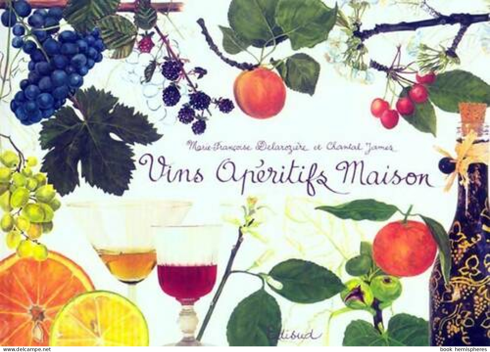 Vins Apéritifs Maison (2011) De Marie-Françoise Delarozière - Gastronomie