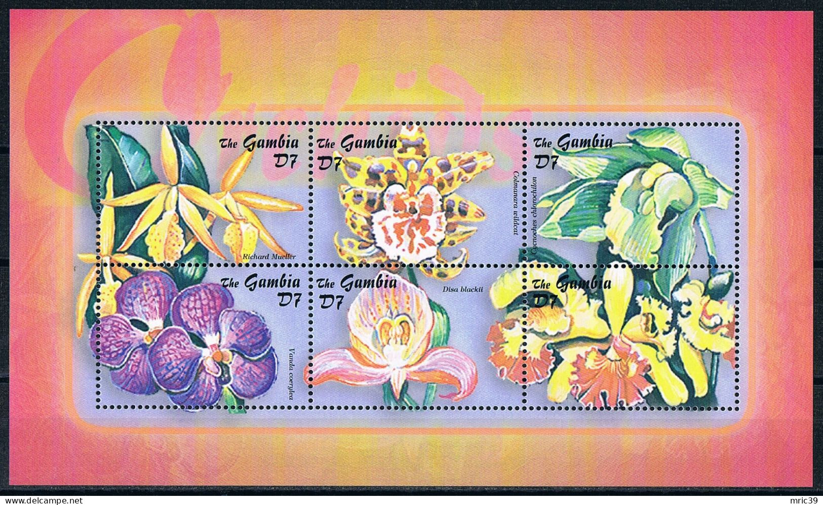 Bloc Sheet  Fleurs Orchidées Flowers Orchids  Neuf  MNH **  Gambie Gambia 2001 - Orchideeën