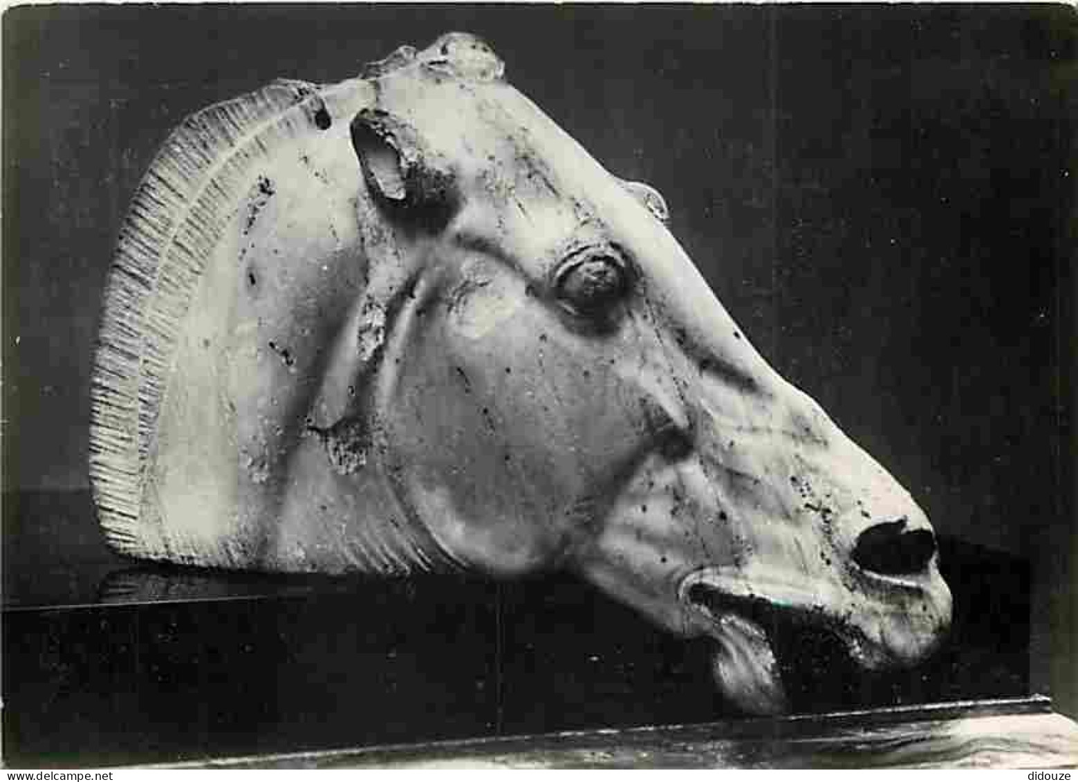 Art - Antiquités - Horse Of Selene - CPM - Voir Scans Recto-Verso - Antike