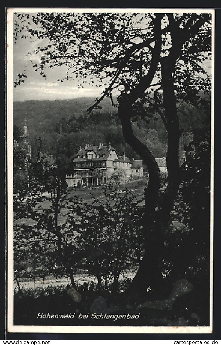 AK Schlangenbad, Hotel Pension Hohenwald  - Schlangenbad