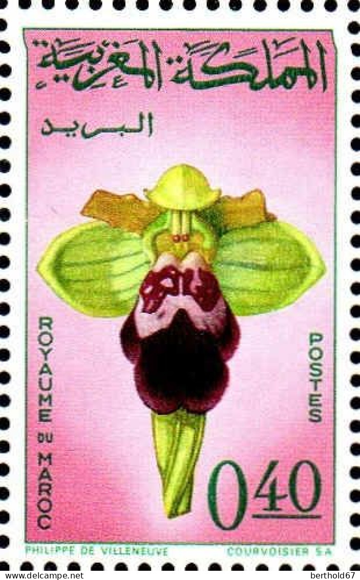 Maroc Poste N* Yv: 495 Mi:557 Ophrys Fusca Ophrys Brun (Trace De Charnière) - Maroc (1956-...)