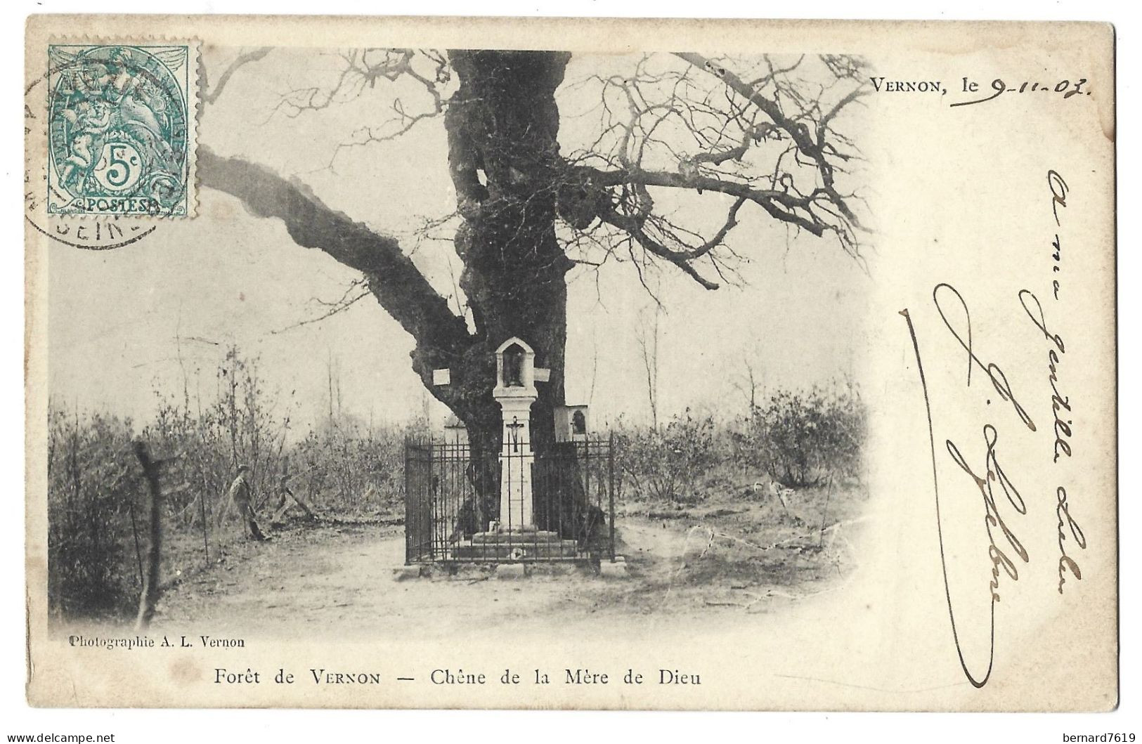 27  Vernon - Foret - Arbre - Chene De La Mere De Dieu - Vernon