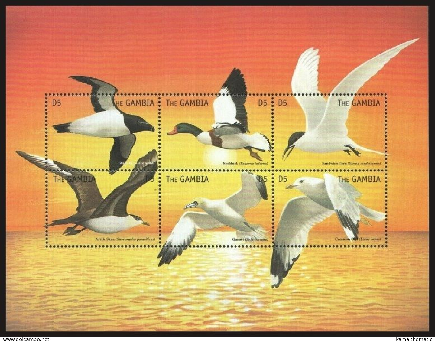 Gambia 1999 MNH SS, Sea Birds, Gull, Shelduck, Artic Skua, Giant Tern - - Seagulls