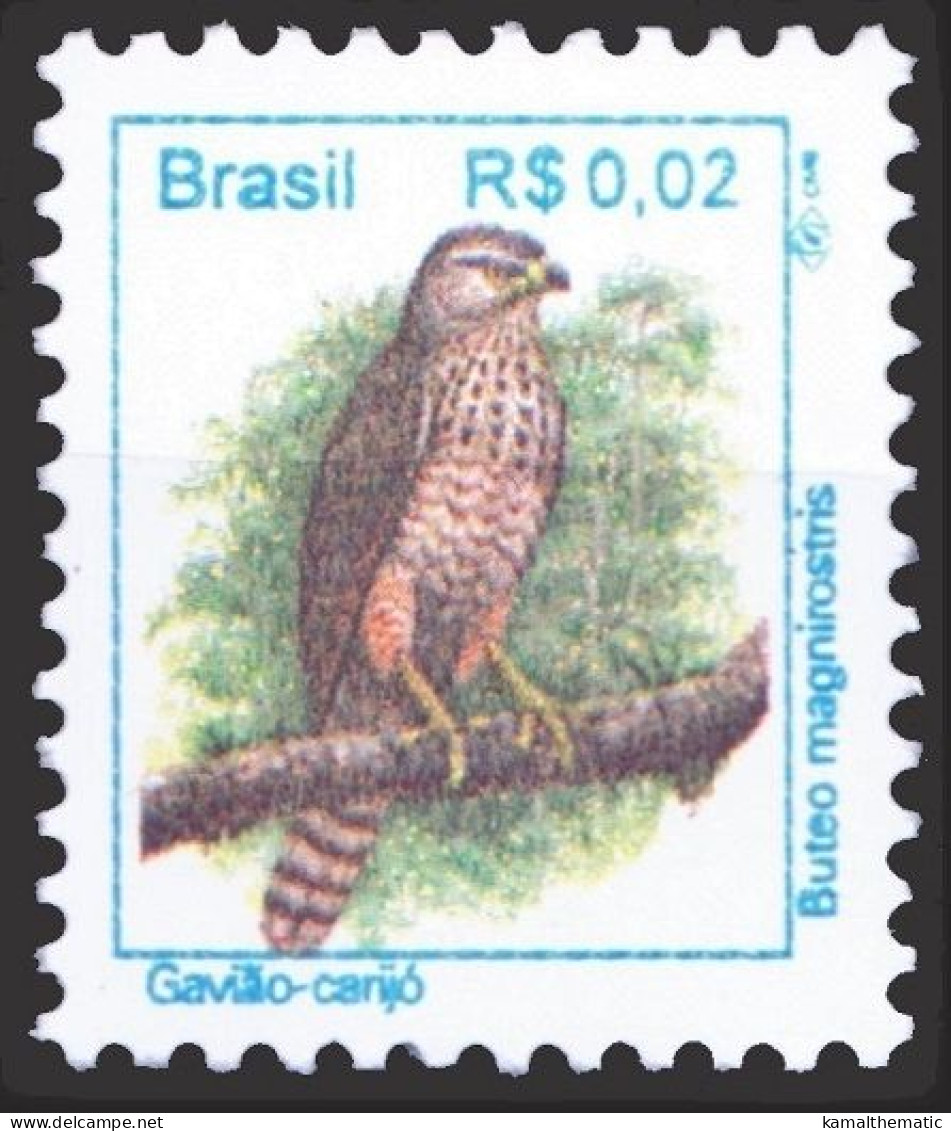 Brazil 1994 MNH 1v, Roadside Hawk, Birds Of Prey, Raptors - Eagles & Birds Of Prey