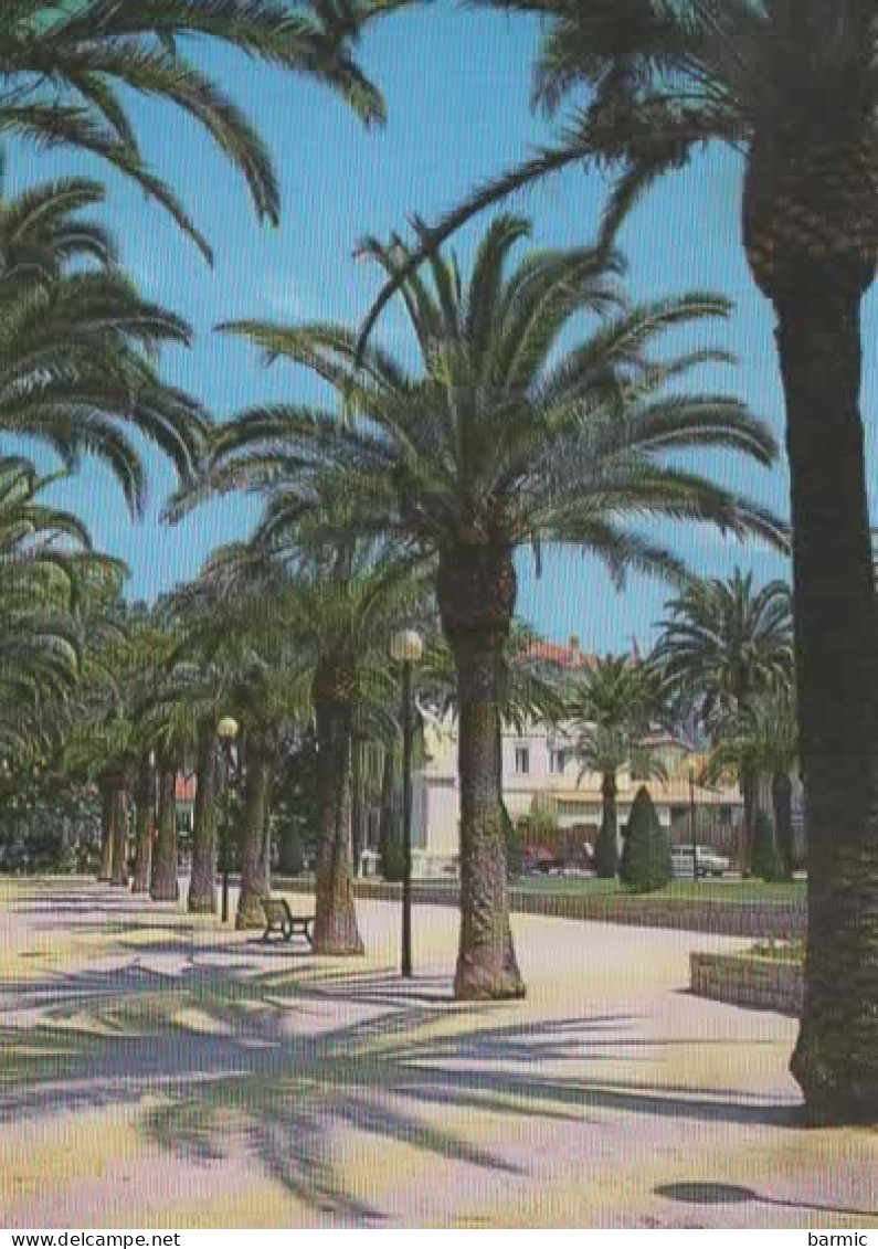 HYERES, ALLEE DES PALMIERS COULEUR REF 16308 - Hyeres